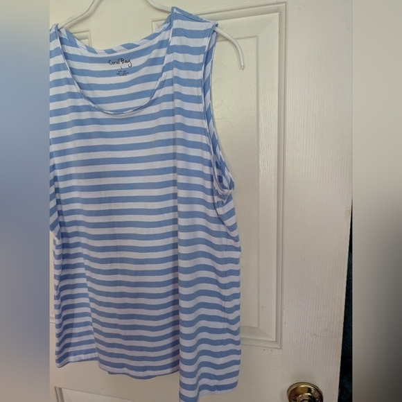 Coral Bay Blue And White  Striped Women's Top Size Large (EUC) - Picture 5 of 8